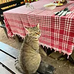 게스트하우스 Neomalsore Agrotourism, Komani Koman
