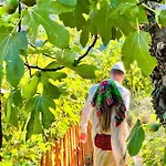 게스트하우스 Neomalsore Agrotourism, Komani Koman