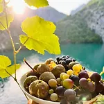 Neomalsore Agrotourism, Komani 게스트하우스