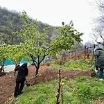 Neomalsore Agrotourism, Komani 게스트하우스 Koman