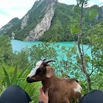Neomalsore Agrotourism, Komani 게스트하우스 Koman