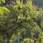 Neomalsore Agrotourism, Komani 게스트하우스
