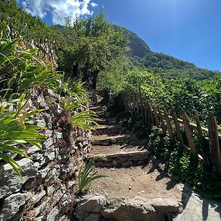 招待所 Neomalsore Agrotourism, Komani
