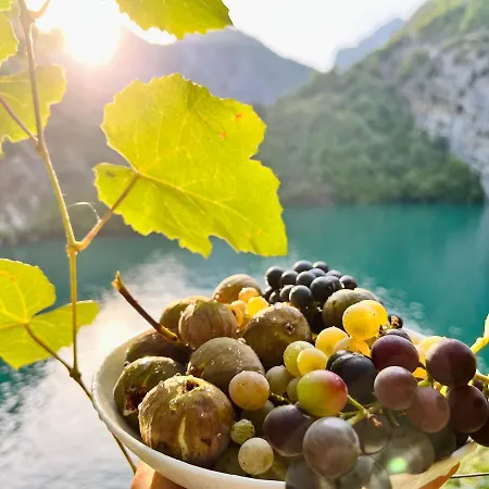 Neomalsore Agrotourism, Komani Lake بيت ضيافة