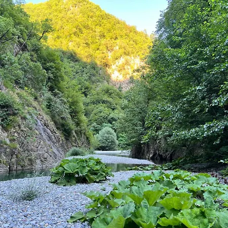 Neomalsore Agrotourism, Komani Lake بيت ضيافة Koman
