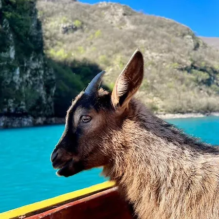 Neomalsore Agrotourism, Komani Lake بيت ضيافة