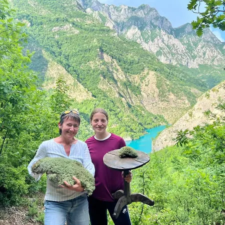 بيت ضيافة Neomalsore Agrotourism, Komani Lake Koman