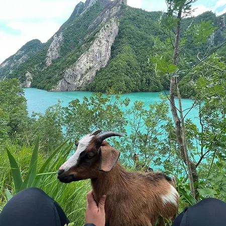 Neomalsore Agrotourism, Komani Lake Konukevi Koman