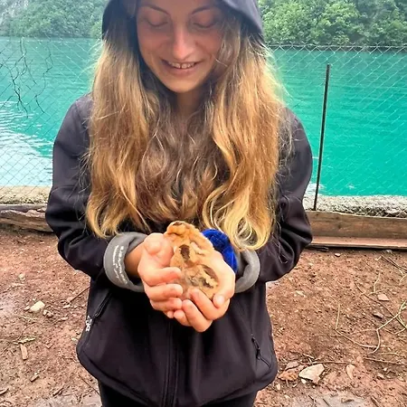 Neomalsore Agrotourism, Komani Lake *