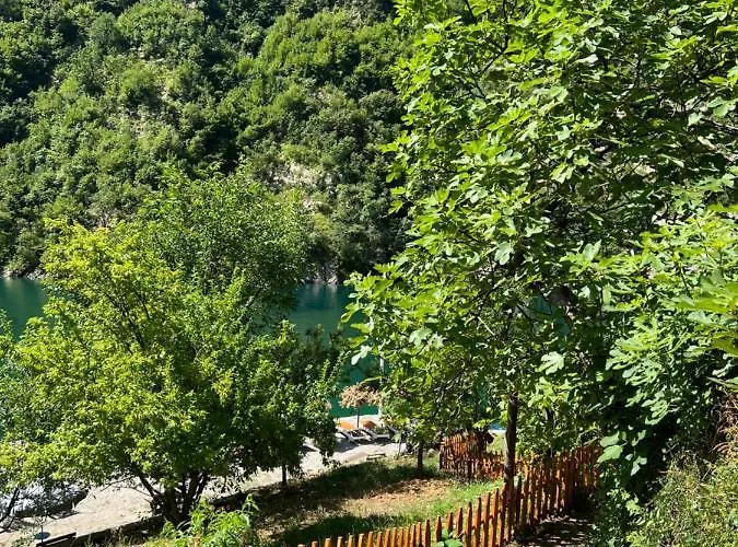 Neomalsore Agrotourism, Komani *