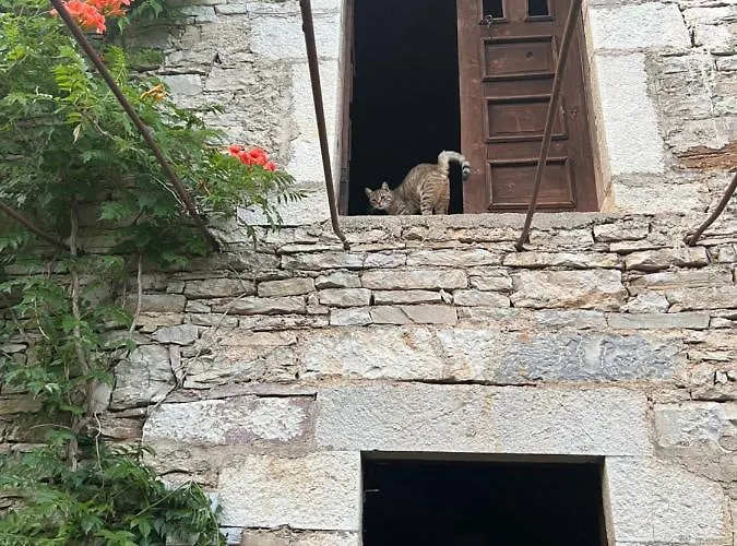Neomalsore Agrotourism, Komani * Koman