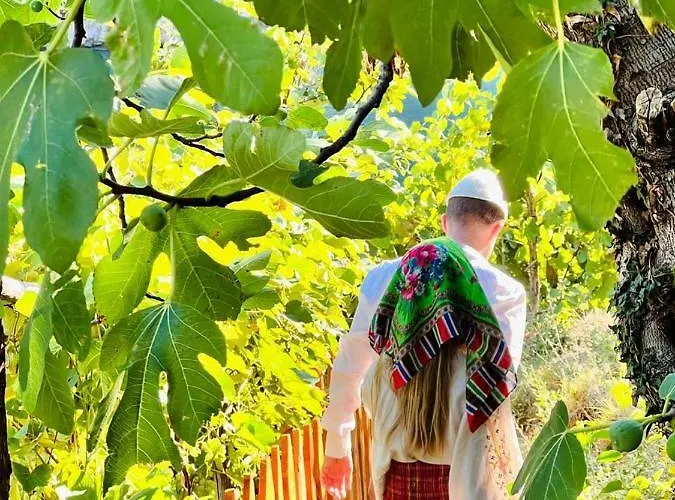 호텔 Neomalsore Agrotourism, Komani Koman