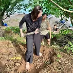 Neomalsore Agrotourism, Komani Πανσιόν *