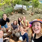 Casa de hóspedes Neomalsore Agrotourism, Komani