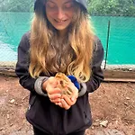 Neomalsore Agrotourism, Komani *