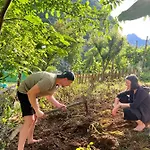 Gasthof Neomalsore Agrotourism, Komani *