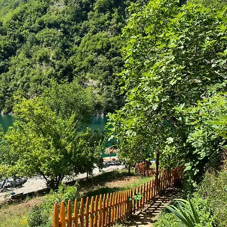 Neomalsore Agrotourism, Komani *