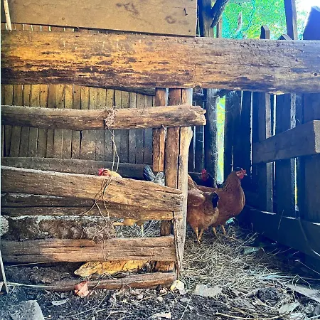 Neomalsore Agrotourism, Komani Hotell