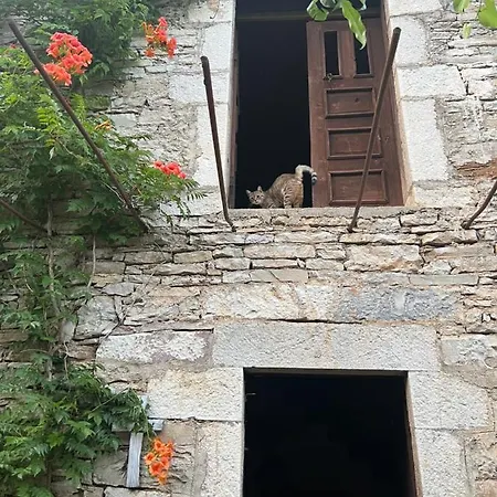 Neomalsore Agrotourism, Komani * Koman