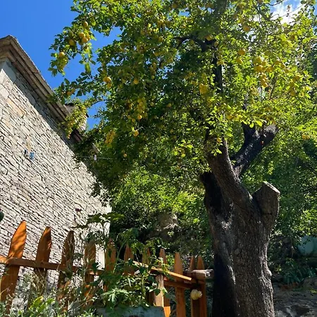 Neomalsore Agrotourism, Komani *