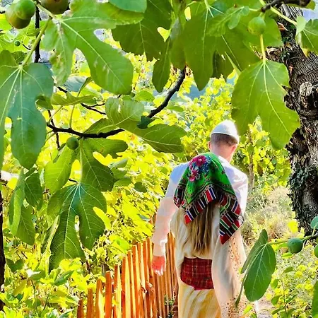 ホテル Neomalsore Agrotourism, Komani Koman