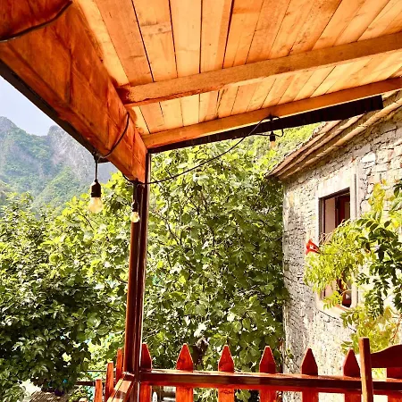 Neomalsore Agrotourism, Komani *