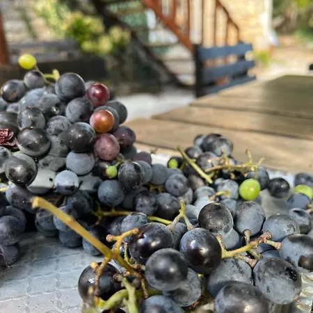 Hotell Neomalsore Agrotourism, Komani