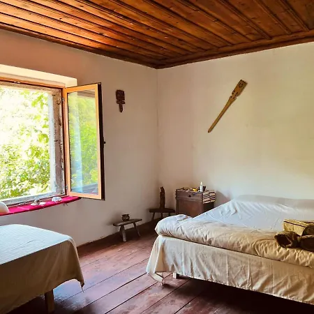 Hotel Neomalsore Agrotourism, Komani