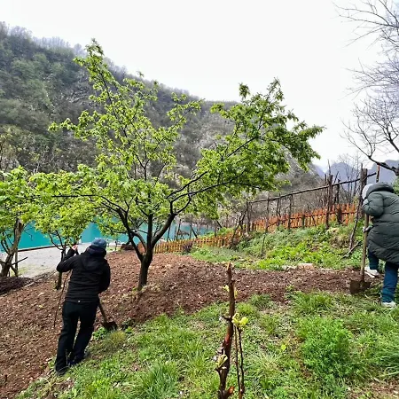 Neomalsore Agrotourism, Komani Hotel Koman
