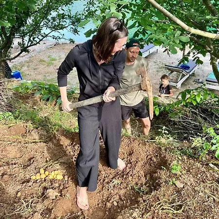 Neomalsore Agrotourism, Komani ホテル *