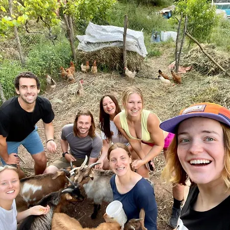 ホテル Neomalsore Agrotourism, Komani