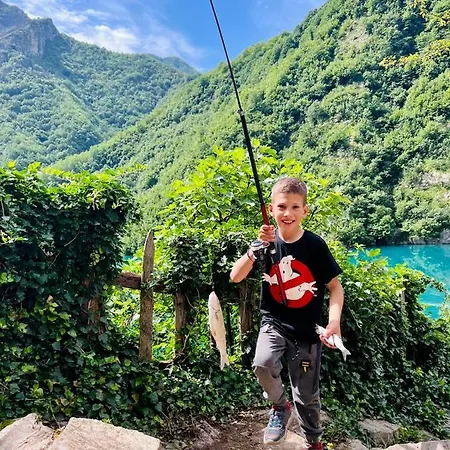 Πανσιόν Neomalsore Agrotourism, Komani Lake Koman