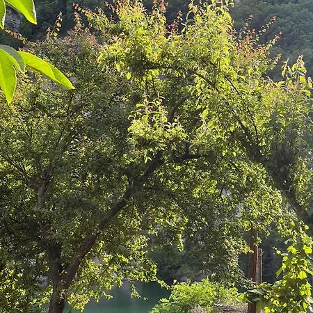 Neomalsore Agrotourism, Komani Hotell