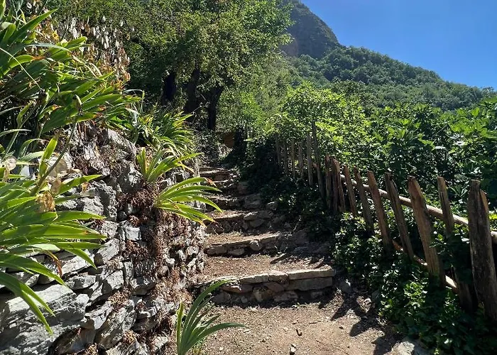 Hotel Neomalsore Agrotourism, Komani