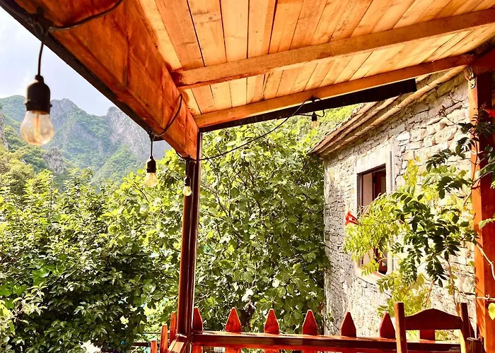 Neomalsore Agrotourism, Komani *