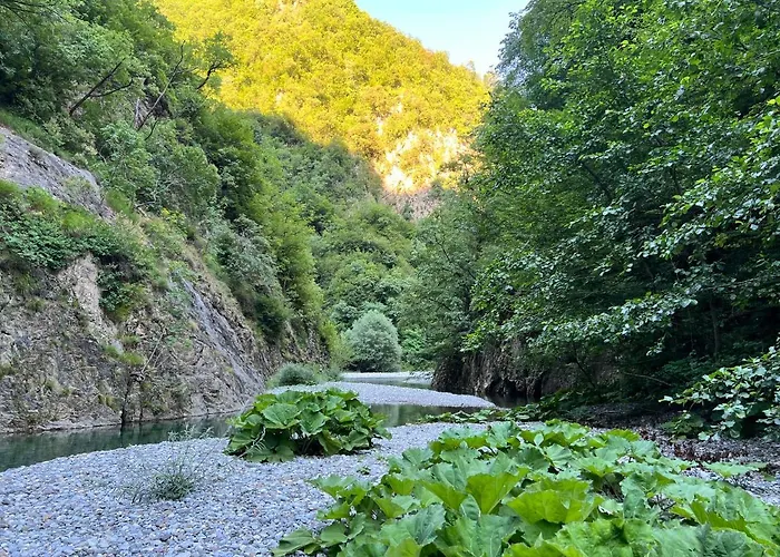 Neomalsore Agrotourism, Komani Hotel Koman