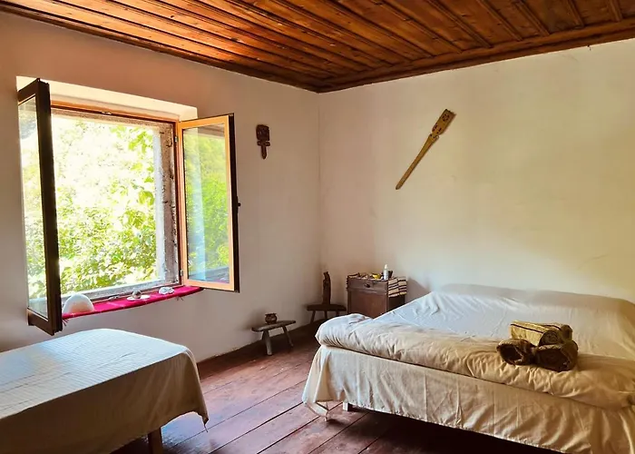 Hotel Neomalsore Agrotourism, Komani