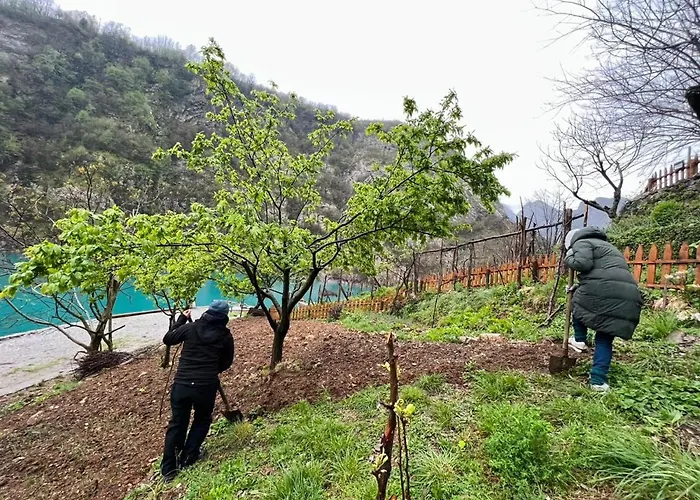 Neomalsore Agrotourism, Komani Hotel Koman