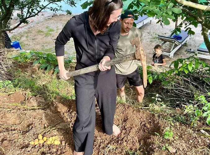 Neomalsore Agrotourism, Komani Hotel *