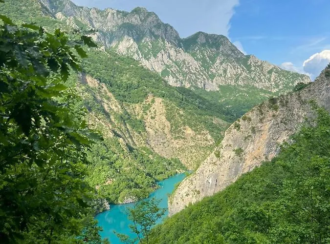 Hotel Neomalsore Agrotourism, Komani