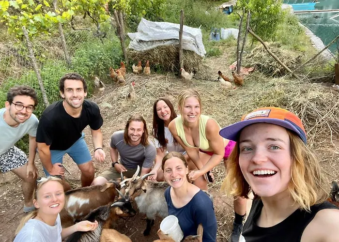 Hotel Neomalsore Agrotourism, Komani