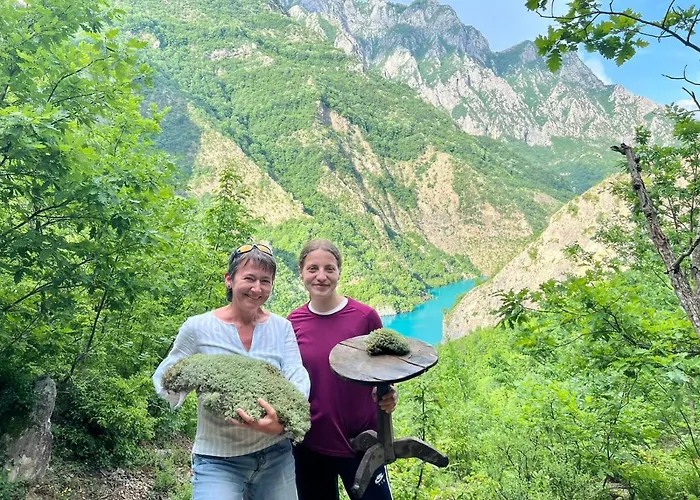 Hotel Neomalsore Agrotourism, Komani Koman