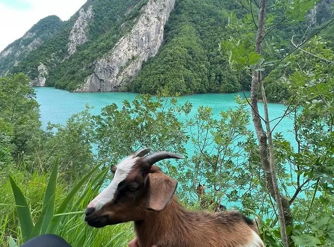 Neomalsore Agrotourism, Komani Hotel Koman
